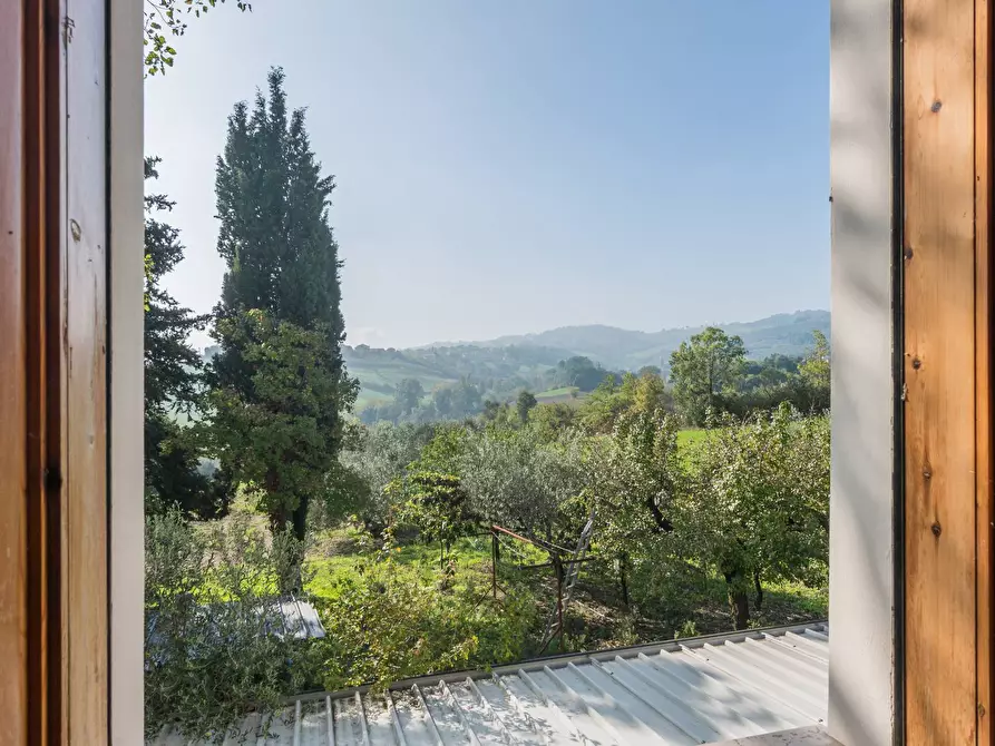 Immagine 14 di Rustico / casale in vendita  in Via Cà Bernardo a Montegridolfo