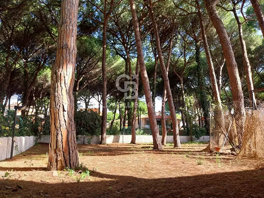 Immagine 18 di Villa in vendita  in Lungomare dei Tirreni a Tarquinia