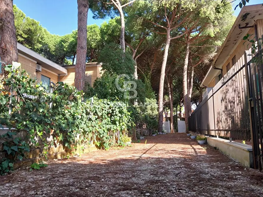 Immagine 23 di Villa in vendita  in Lungomare dei Tirreni a Tarquinia