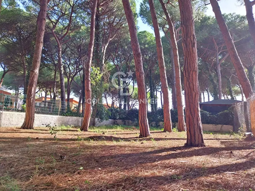 Immagine 21 di Villa in vendita  in Lungomare dei Tirreni a Tarquinia