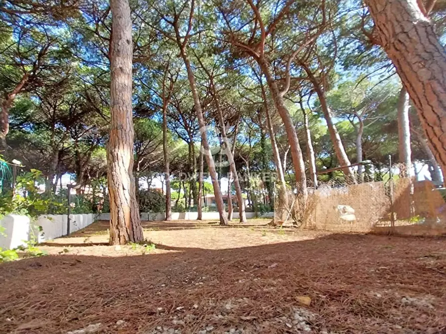 Immagine 19 di Villa in vendita  in Lungomare dei Tirreni a Tarquinia