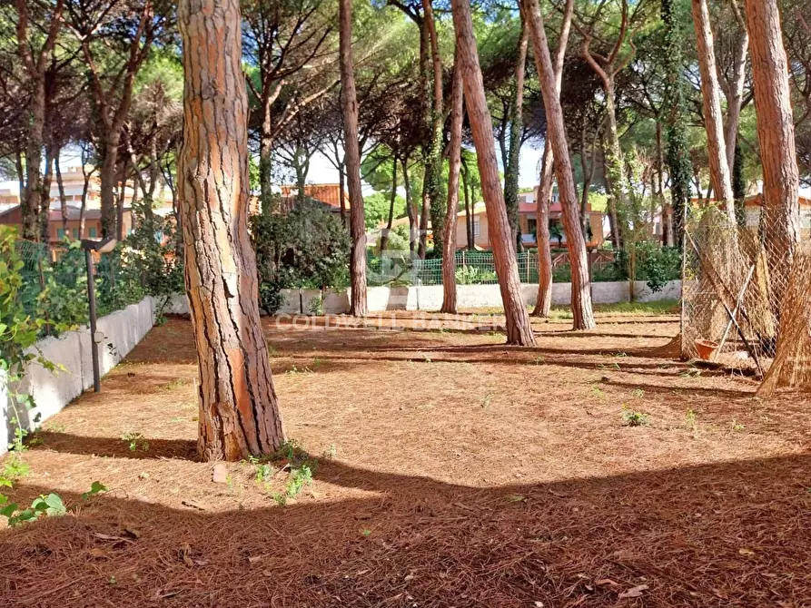 Immagine 20 di Villa in vendita  in Lungomare dei Tirreni a Tarquinia