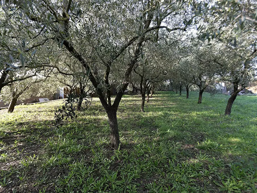 Immagine 16 di Appartamento in vendita  in Via Dolomiti a Vitorchiano