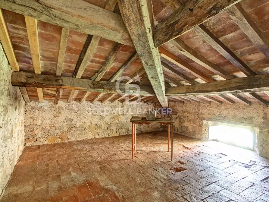 Immagine 25 di Casa indipendente in vendita  in via del basso a Manciano