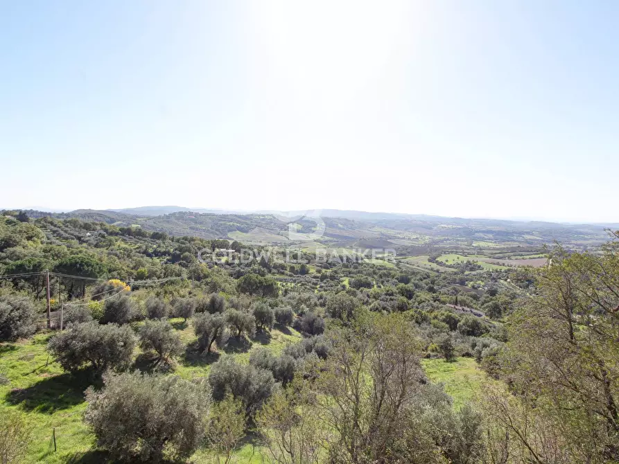 Immagine 27 di Casa indipendente in vendita  in via del basso a Manciano