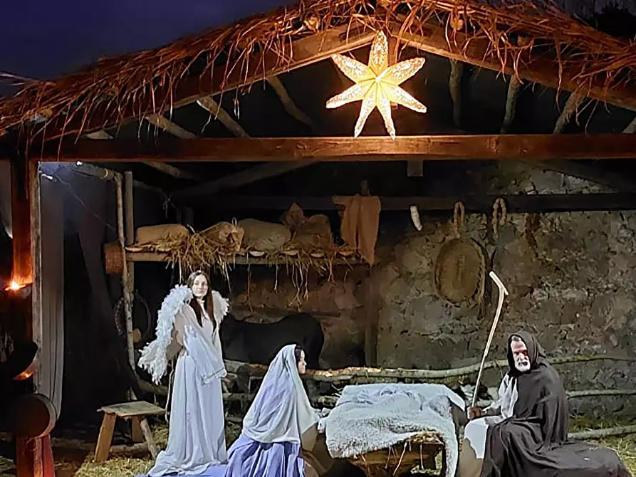 Immagine 14 di Appartamento in vendita  in Via delle Fonti Basse a Bassano In Teverina