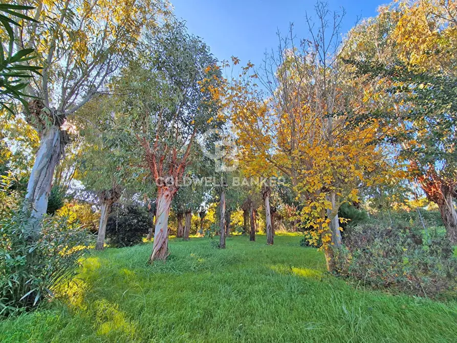 Immagine 12 di Villa in vendita  in Via dei Curina a Tarquinia