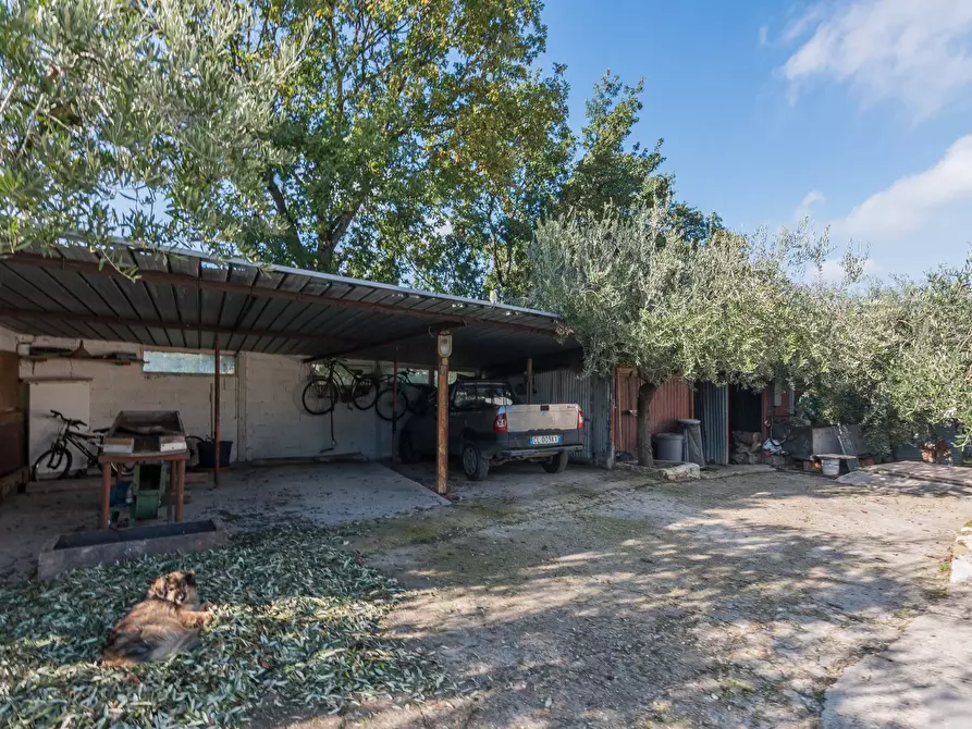 Immagine 23 di Casa semindipendente in vendita  in Via Cà Centino a San Clemente