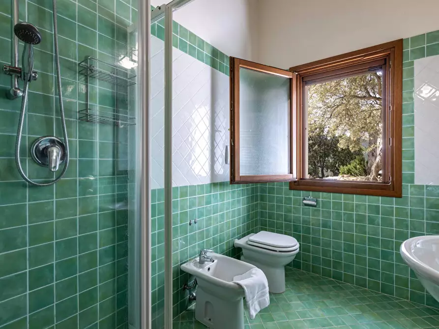 Immagine 18 di Villa in vendita  in VIA Casagliana a Olbia