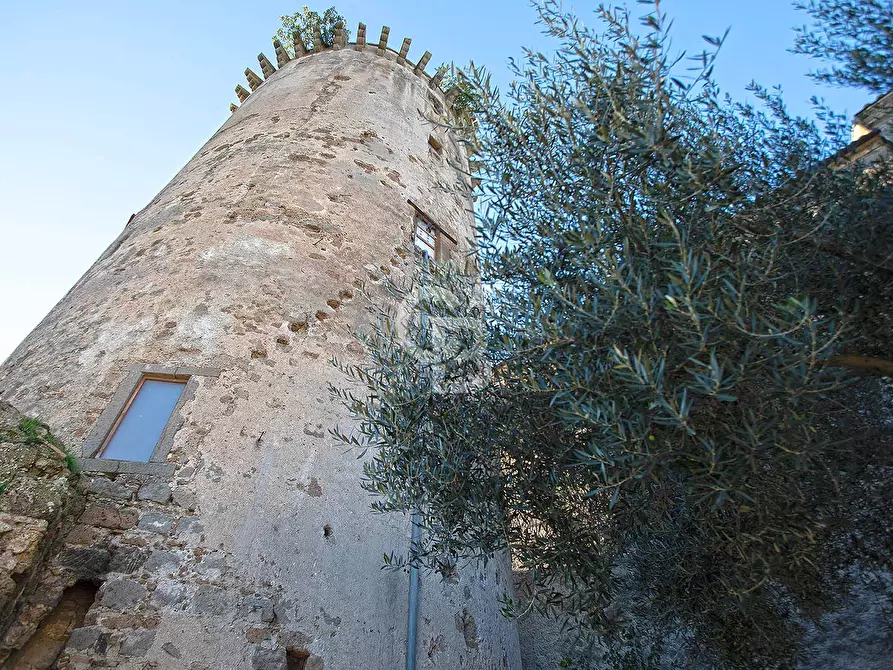 Immagine 21 di Appartamento in vendita  in Via Giuseppe Garibaldi a Bomarzo