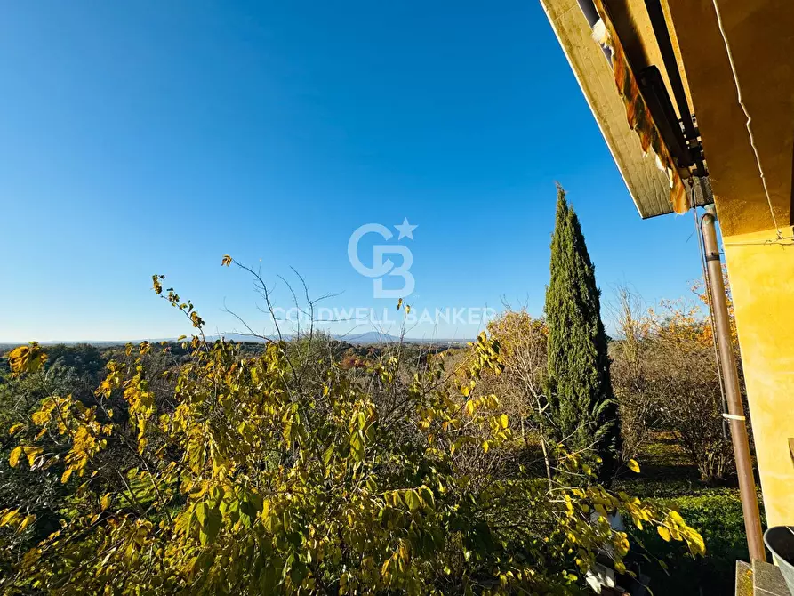 Immagine 28 di Villa in vendita  in Località Santa Maria a Faleria