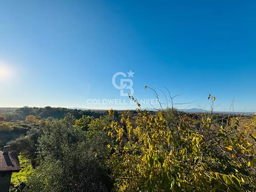 Immagine 29 di Villa in vendita  in Località Santa Maria a Faleria