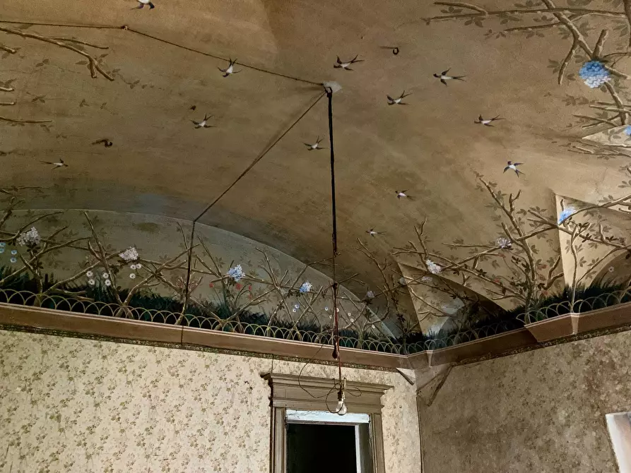 Immagine 25 di Palazzo in vendita  in Via Giolitti a Mondovì