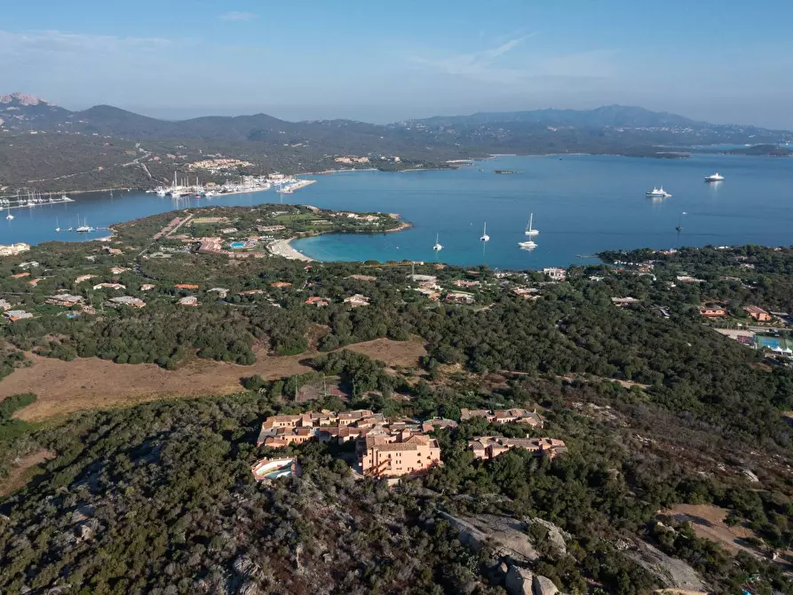 Immagine 3 di Terreno residenziale in vendita  in Porto Rotondo - Costa Smeralda a Olbia