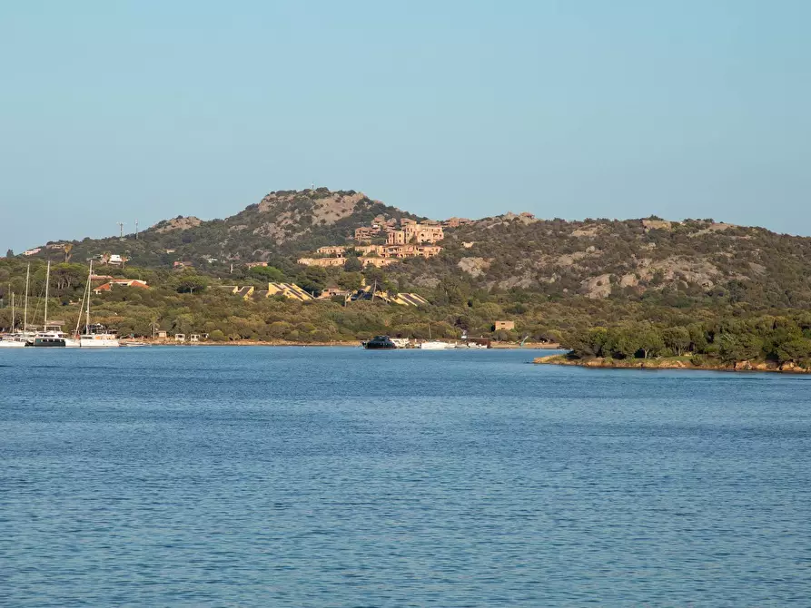 Immagine 17 di Terreno residenziale in vendita  in Porto Rotondo - Costa Smeralda a Olbia