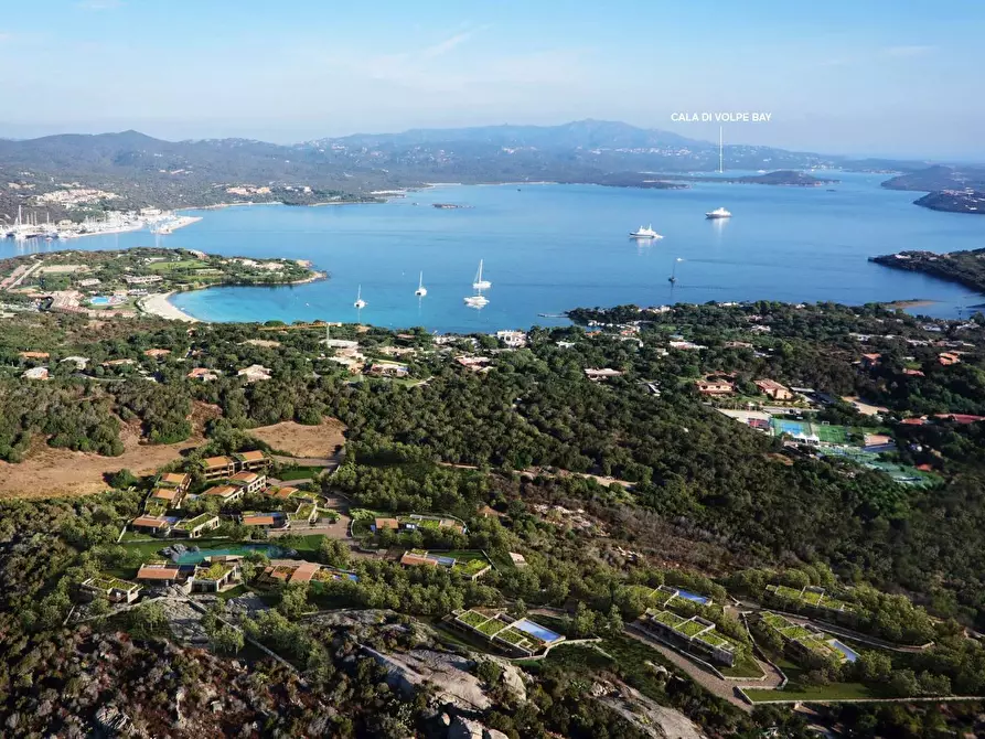 Immagine 16 di Terreno residenziale in vendita  in Porto Rotondo - Costa Smeralda a Olbia