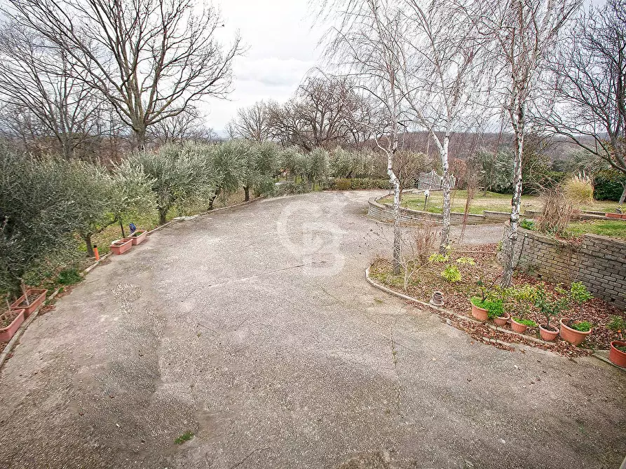 Immagine 9 di Villa in vendita  in Strada Costa Volpara a Viterbo