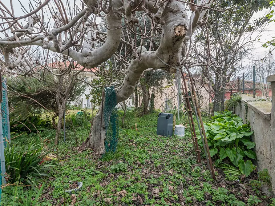 Immagine 22 di Appartamento in vendita  in Via Emanuele Filiberto a Gabicce Mare