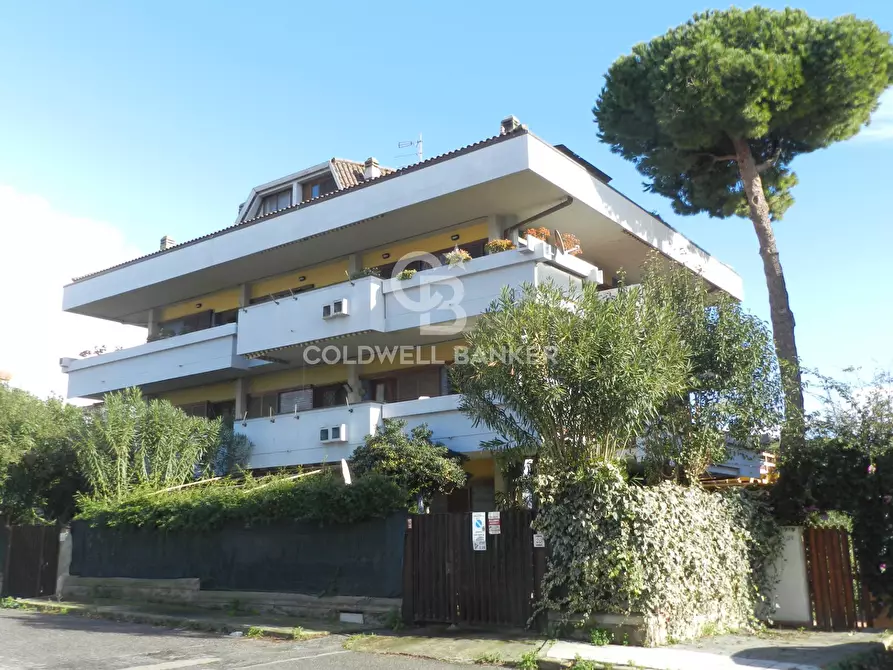 Immagine 2 di Attico in vendita  in Via Giulio Cesare a Santa Marinella