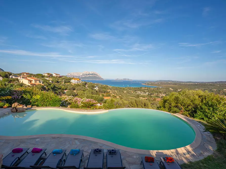 Immagine 21 di Villa in affitto  in Porto IStana a Olbia