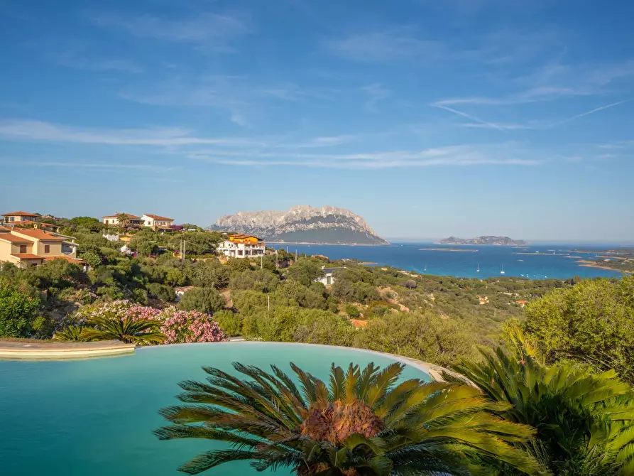 Immagine 22 di Villa in affitto  in Porto IStana a Olbia