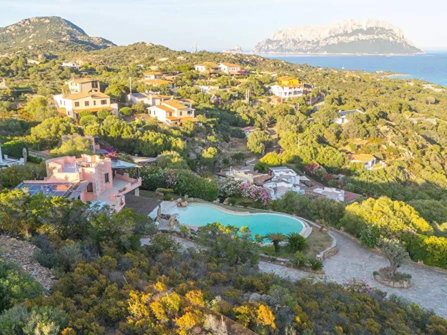 Immagine 26 di Villa in affitto  in Porto IStana a Olbia