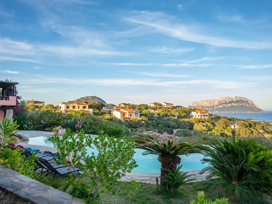 Immagine 27 di Villa in affitto  in Porto IStana a Olbia