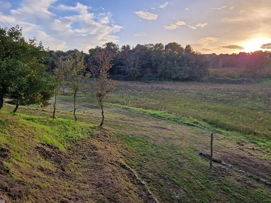 Immagine 23 di Rustico / casale in vendita  in Strada Mazzatosta a Vitorchiano