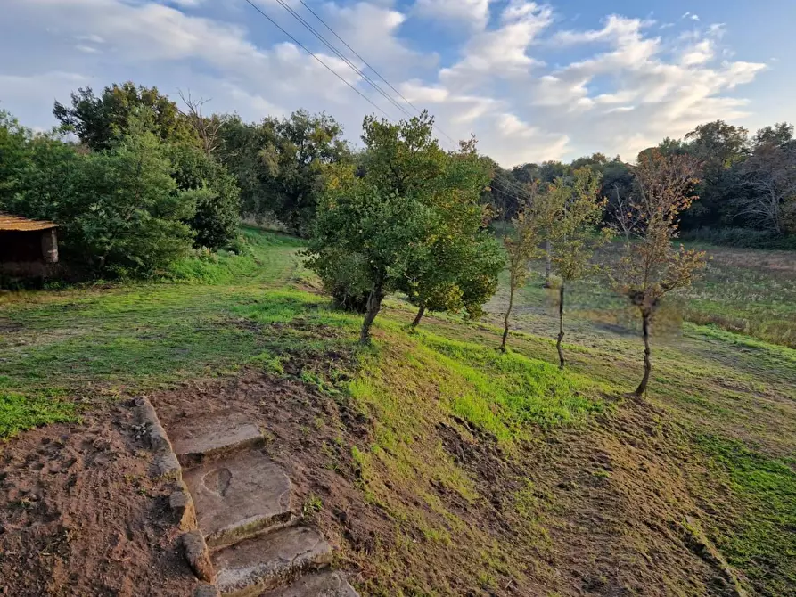Immagine 24 di Rustico / casale in vendita  in Strada Mazzatosta a Vitorchiano