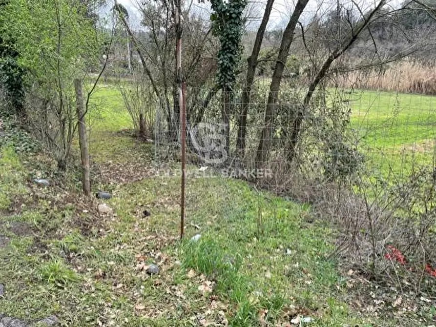 Immagine 2 di Terreno agricolo in vendita  in via di tivoli a Gallicano Nel Lazio