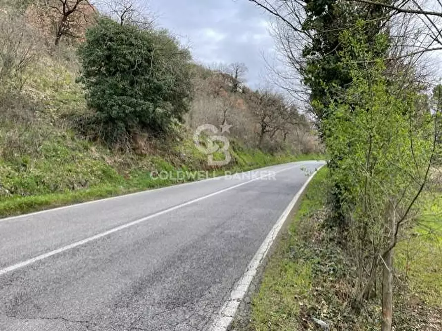 terreno agricolo in vendita a Gallicano nel Lazio