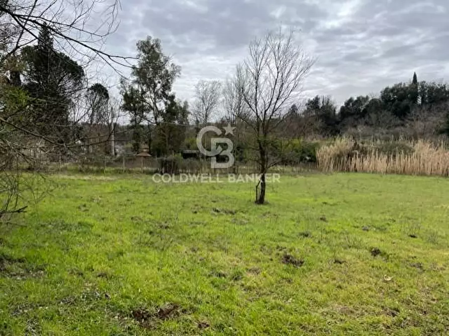 Immagine 3 di Terreno agricolo in vendita  in via di tivoli a Gallicano Nel Lazio