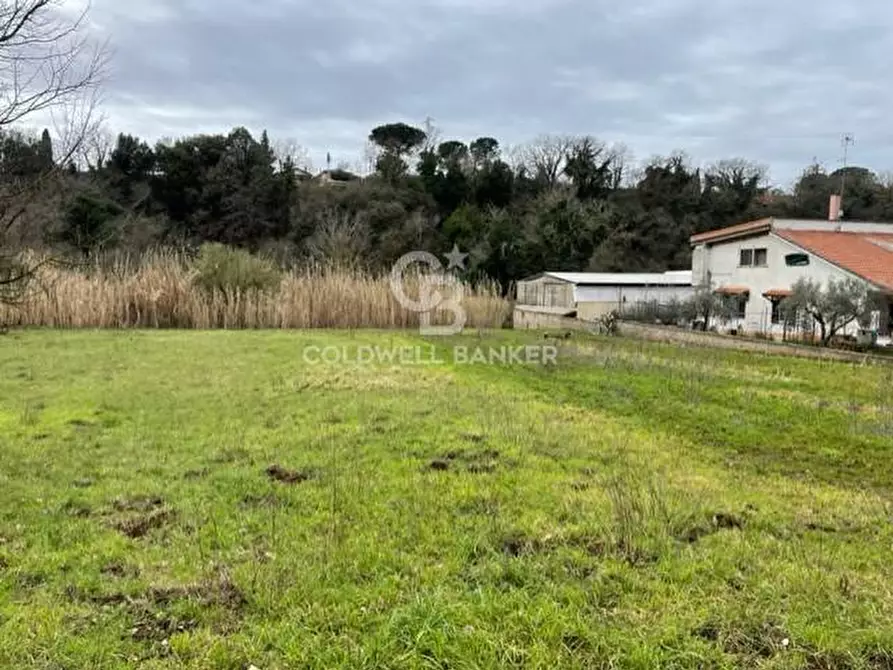 Immagine 4 di Terreno agricolo in vendita  in via di tivoli a Gallicano Nel Lazio