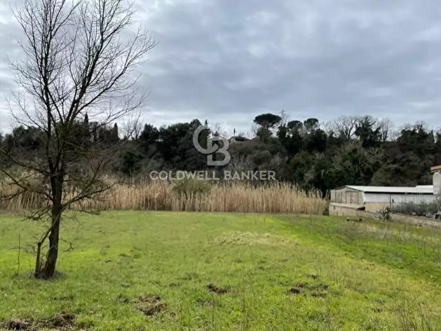 Immagine 5 di Terreno agricolo in vendita  in via di tivoli a Gallicano Nel Lazio