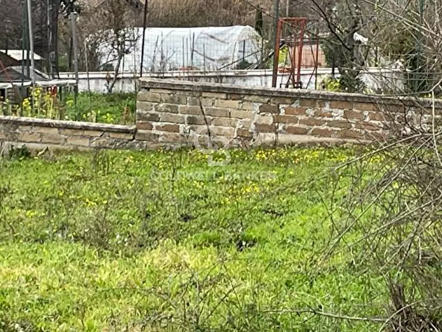 Immagine 6 di Terreno agricolo in vendita  in via di tivoli a Gallicano Nel Lazio