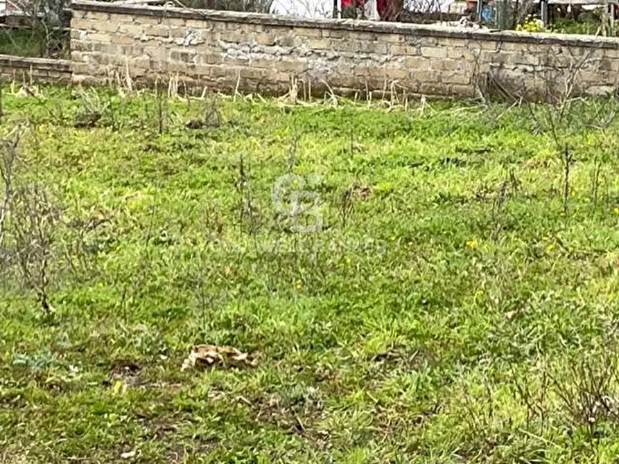 Immagine 7 di Terreno agricolo in vendita  in via di tivoli a Gallicano Nel Lazio