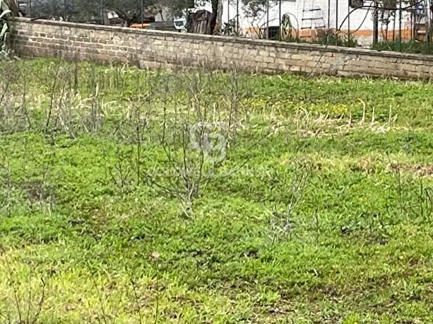 Immagine 8 di Terreno agricolo in vendita  in via di tivoli a Gallicano Nel Lazio