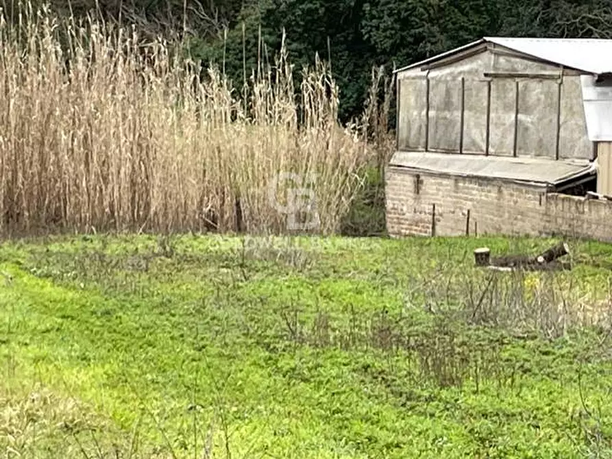 Immagine 11 di Terreno agricolo in vendita  in via di tivoli a Gallicano Nel Lazio