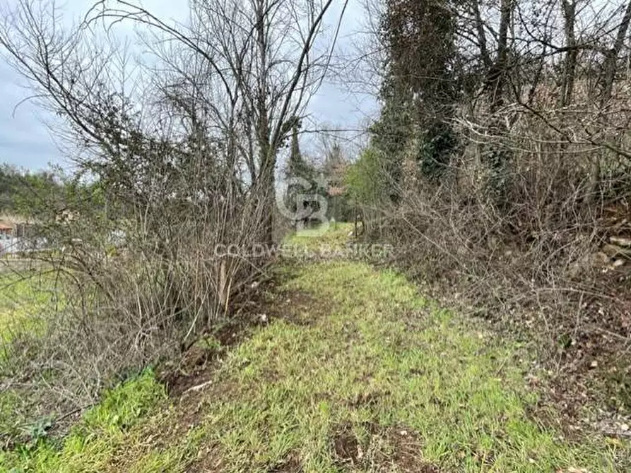 Immagine 9 di Terreno agricolo in vendita  in via di tivoli a Gallicano Nel Lazio