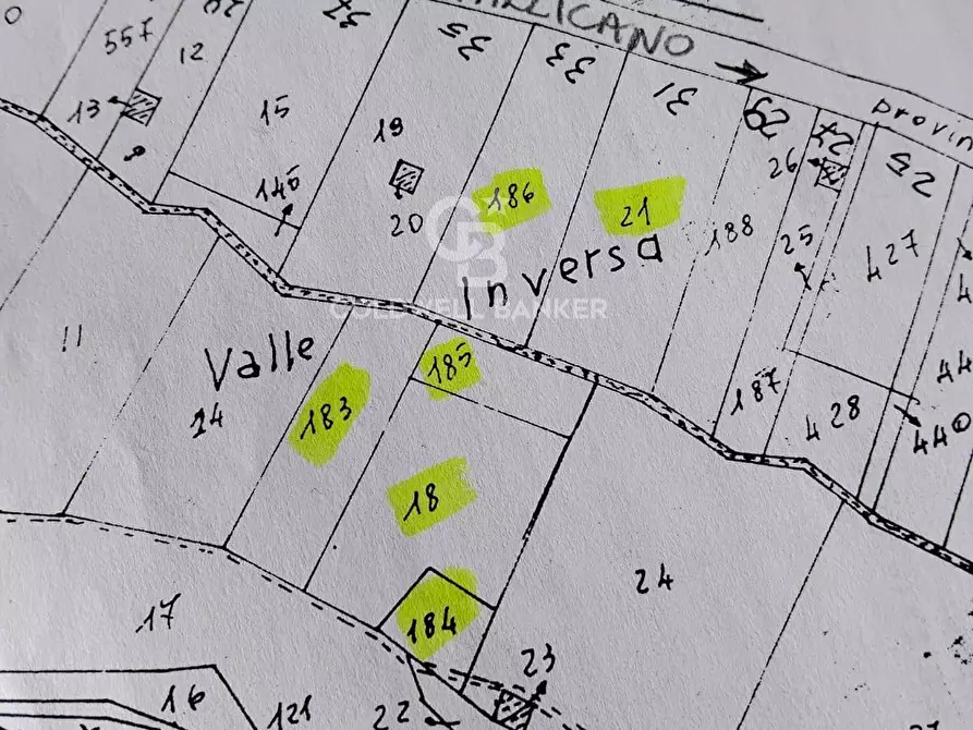 Immagine 13 di Terreno agricolo in vendita  in via di tivoli a Gallicano Nel Lazio