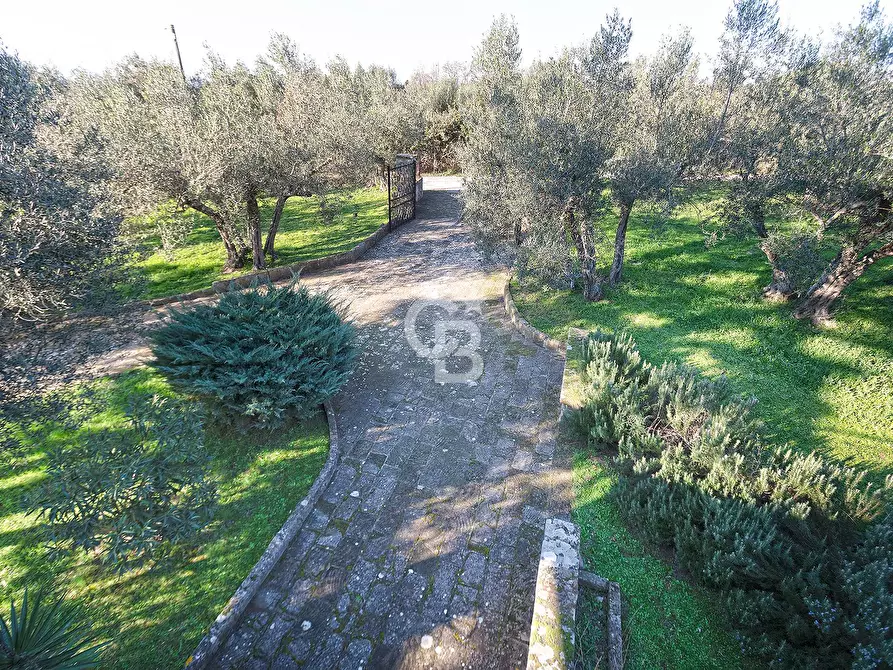 Immagine 27 di Villa in vendita  in Località Madonna del Ponte a Vetralla