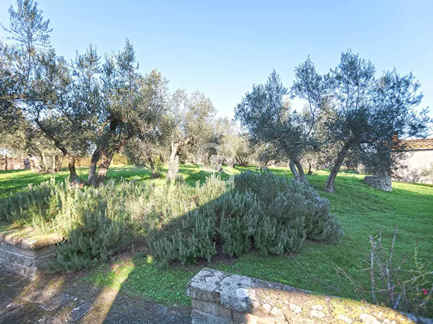 Immagine 28 di Villa in vendita  in Località Madonna del Ponte a Vetralla