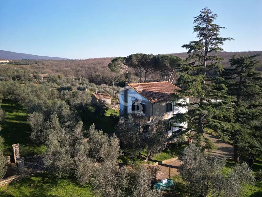 Immagine 30 di Villa in vendita  in Località Madonna del Ponte a Vetralla