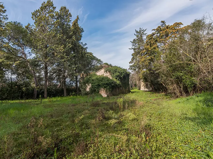 Immagine 20 di Rustico / casale in vendita  in Via Borgo San Michele a Tavullia