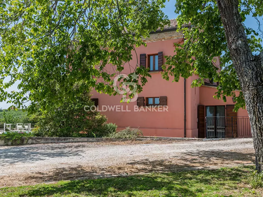 Immagine 23 di Villa in vendita  in Strada del Breccione a San Costanzo