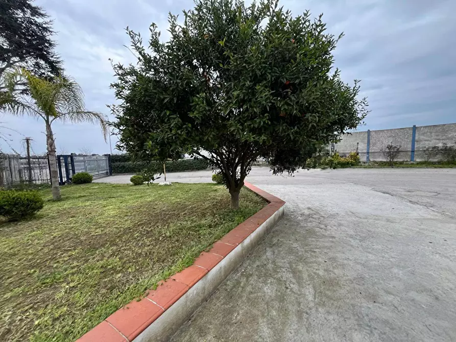 Immagine 28 di Capannone industriale in vendita  in via San Francesco a Patria a Giugliano In Campania