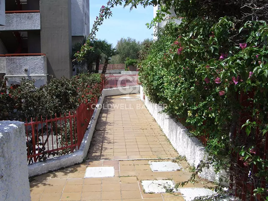 Immagine 23 di Appartamento in vendita  in Via Giulio Cesare a Santa Marinella