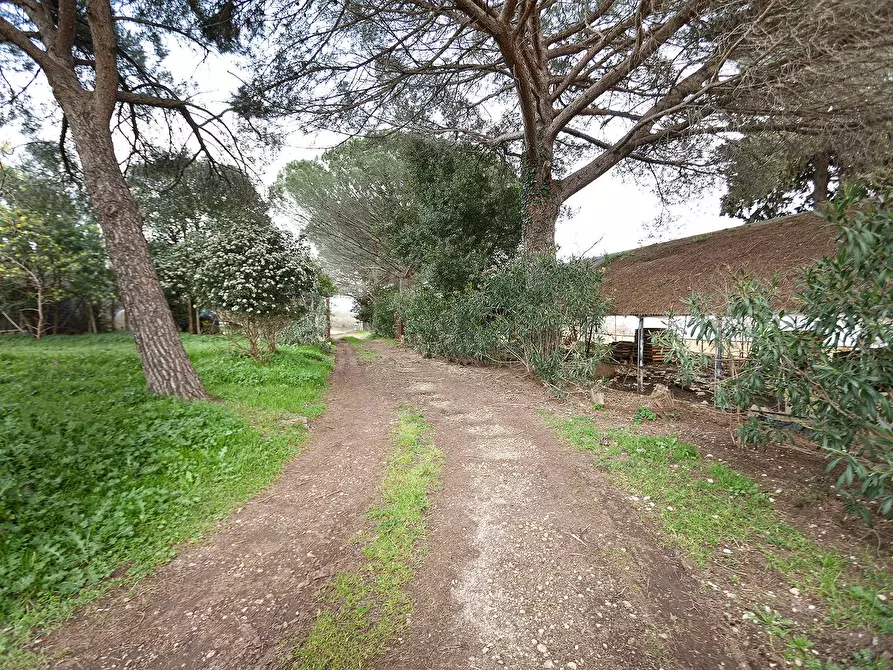 Immagine 5 di Rustico / casale in vendita  in Località Scassato a Vetralla