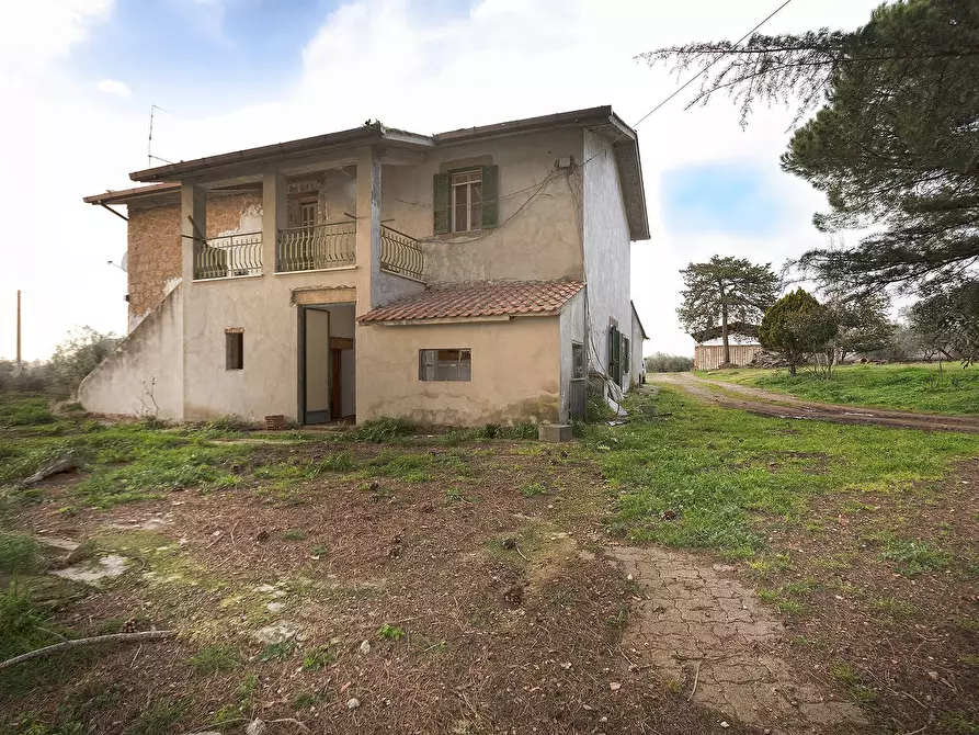 Immagine 13 di Rustico / casale in vendita  in Località Scassato a Vetralla