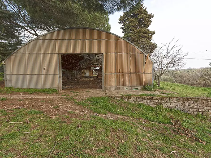 Immagine 14 di Rustico / casale in vendita  in Località Scassato a Vetralla